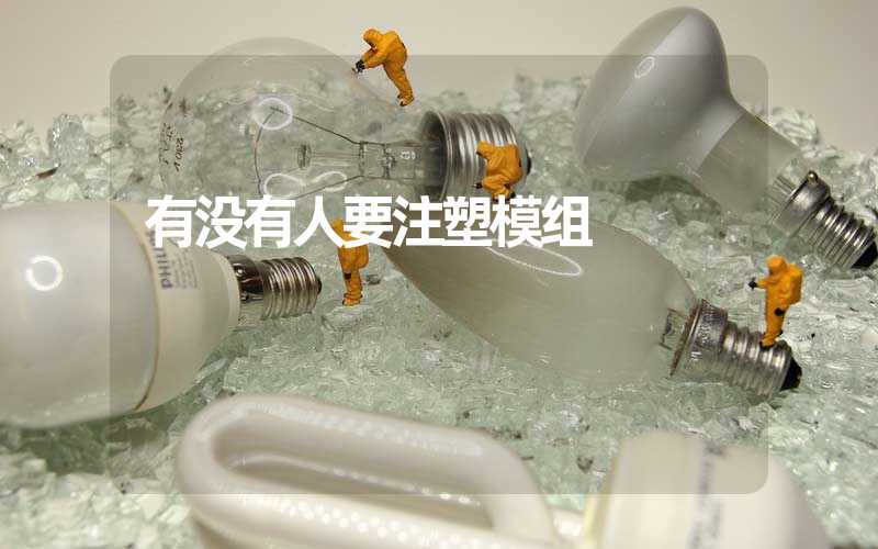 有没有人要注塑模组 